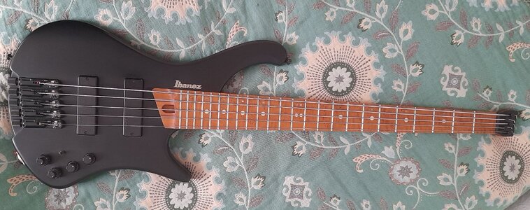 5-Saiter Bass Soundgear EBH Bass Workshop Ibanez E-Bass
