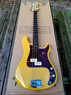 FS: Vichodyl “Bass the world” signature P-bass