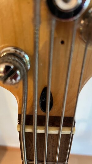 IMG_8473.jpeg