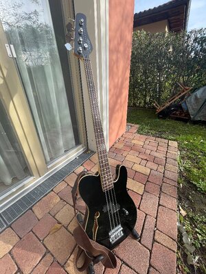 Schecter dUg Pinnick Baron-H Bass mit passendem Koffer