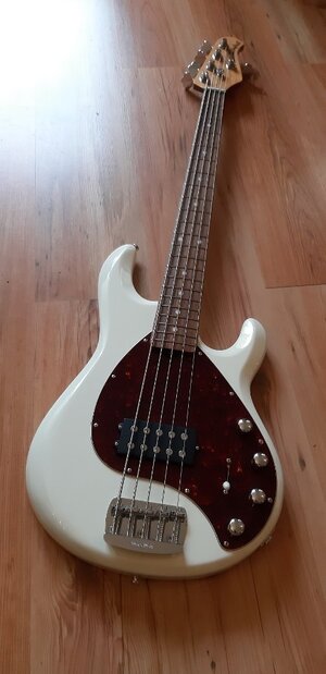 Musicman Stingray Special 5 (nur 3,9 kg)
