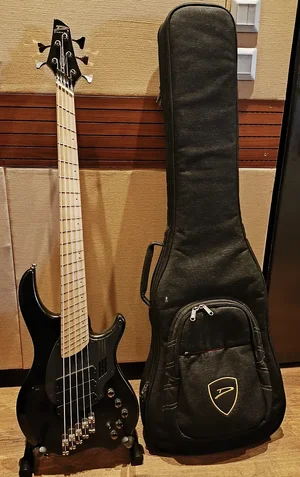 Dingwall NG3 Adam "Nolly" Getgood Signature 5-String 2014 - 2020 - Metallic Black with 6way rotary s