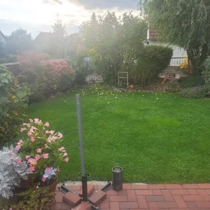 20251017_164109.webp 20251017_164109.webp