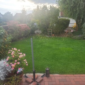 20251017_164109.jpg 20251017_164109.jpg