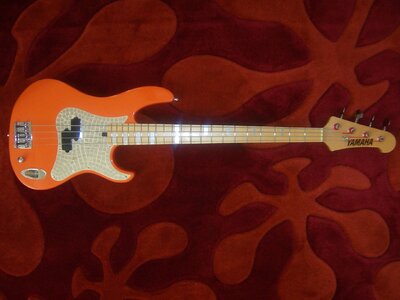 schepper attitude orange.JPG