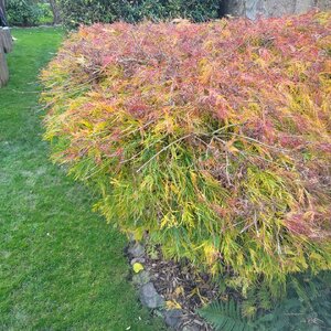 20251023_165345.jpg 20251023_165345.jpg