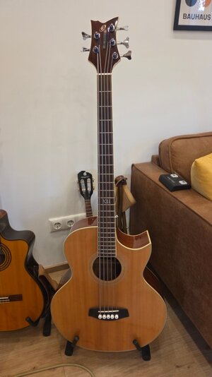 Ortega D1-5 Akustikbass