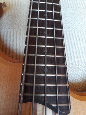 5 Ibanez BTB 555.jpg