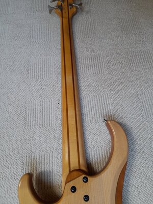 8 Ibanez BTB 555.jpg