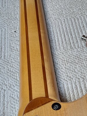 10 Ibanez BTB 555.jpg