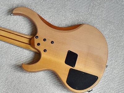 13 Ibanez BTB 555.jpg