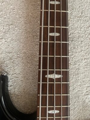 Groß (IMG_6352).jpeg