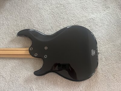 Groß (IMG_6354).jpeg