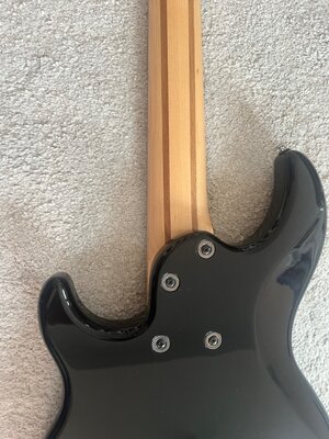 Groß (IMG_6355).jpeg