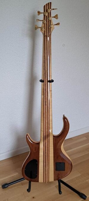 Schack-Bass_Unique VI_2.jpg