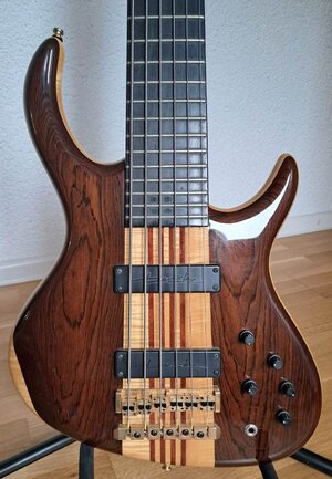 Schack-Bass_Unique VI_3.jpg