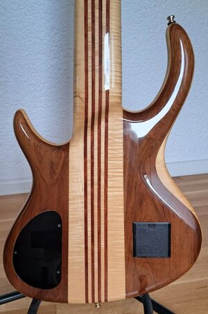 Schack-Bass_Unique VI_4.jpg