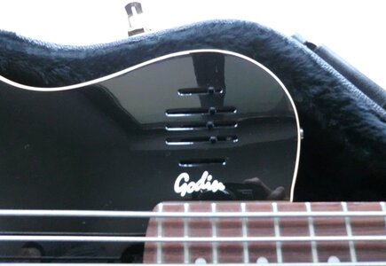 Godin_A5_06.JPG