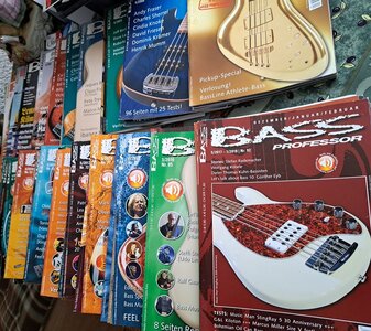 Bass_Professor_2.jpg
