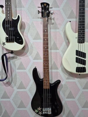 Spector NS-2002B komplett überholt