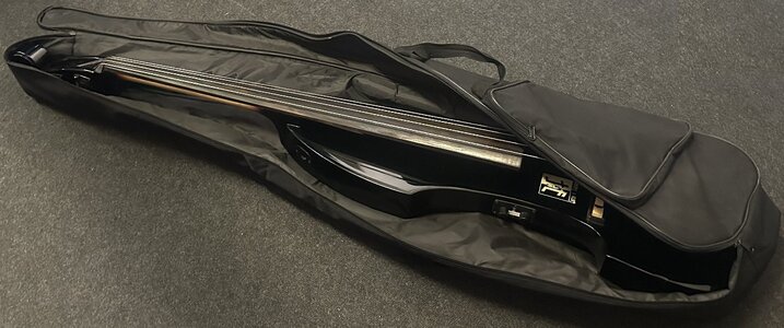 Easton & Franklin Electric Upright Bass / E - Kontrabass