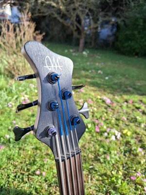 Mayones BE-5 Custom 5  fretless
