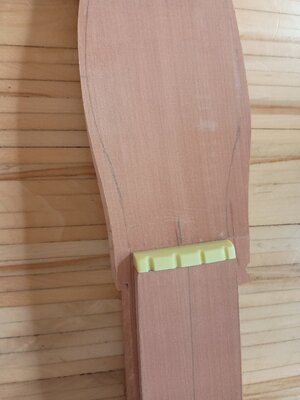 IMG_20251106_141740115.jpg IMG_20251106_141740115.jpg