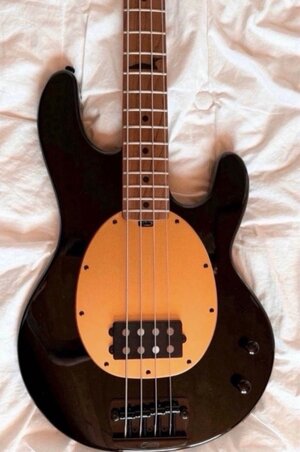 IMG_0305.jpeg IMG_0305.jpeg