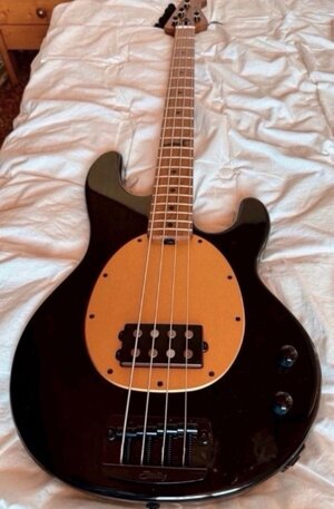 IMG_0304.jpeg IMG_0304.jpeg