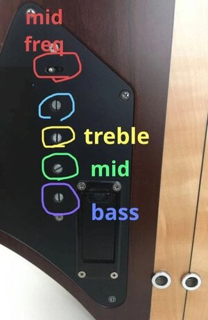 Bass2.jpg