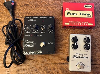 Darkglass - TC Electronic - T Rex