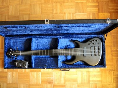 Schack-Bass- 6 String FL