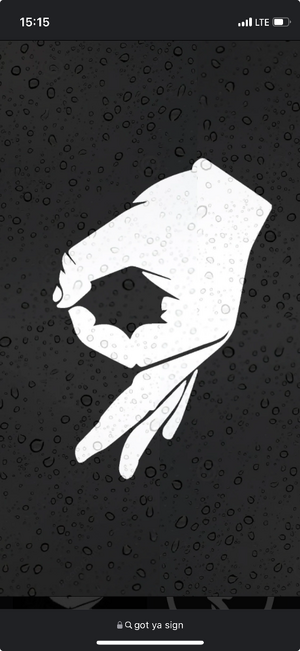 Suche Tecamp Pleasure Pump 500