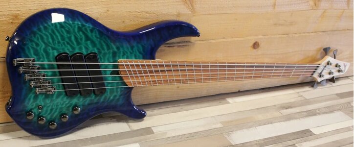 Suche: Dingwall 5 with Pau Ferro fretboard