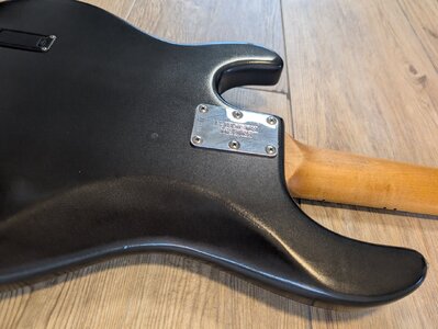 PXL_20251116_120552732.jpg PXL_20251116_120552732.jpg