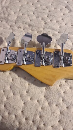 WhatsApp Image 2025-07-20 at 11.55.54_9cddecd8.jpg