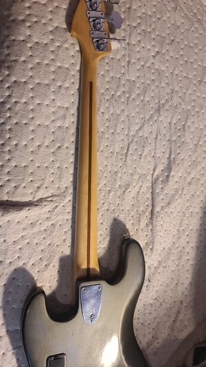 WhatsApp Image 2025-07-20 at 11.56.04_3711ffc0.jpg