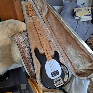 MusicMan Pre Ernie Ball Stingray 1982 (Black/white) - Near mint!