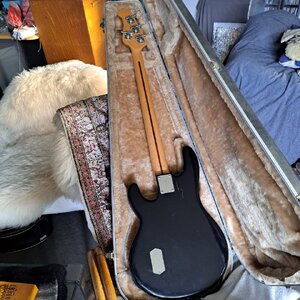 WhatsApp Image 2025-11-07 at 08.11.38.jpeg