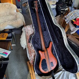 WhatsApp Image 2025-11-07 at 08.11.37 (1).jpeg