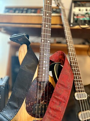 IMG_7510.jpeg IMG_7510.jpeg