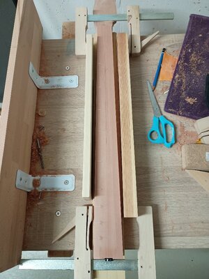 IMG_20251117_231058830.jpg IMG_20251117_231058830.jpg