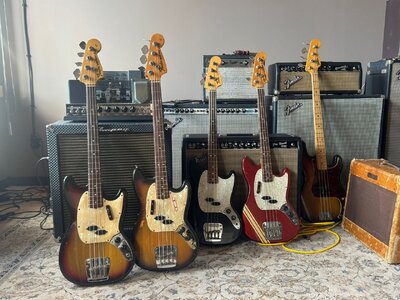 Mustangs Collection 70's