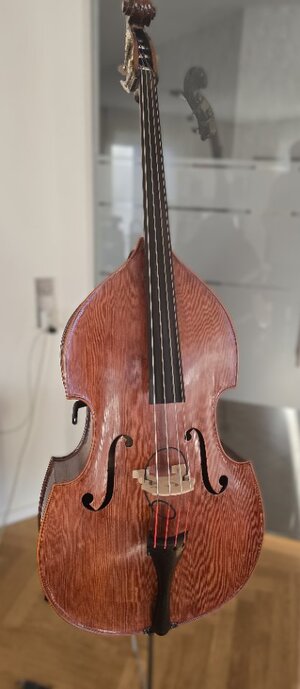 Hopf-Kontrabass - vollmassiv