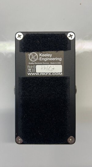 Keeley Bassist back.jpg