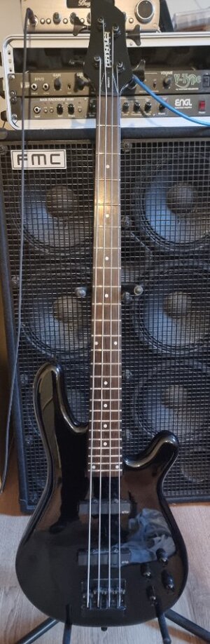 Fernandes gravity deluxe