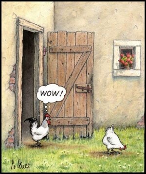 Witz Hühner61_2.jpg