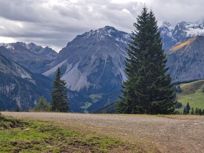 Suche: 5 -Saiter Le Fay oder Marleaux