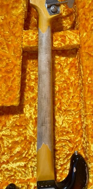 Preci neck Back .jpeg.jpeg