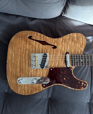 Semi Hollow Tele Verkauf/Tausch